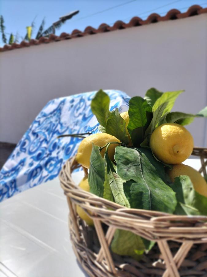 Apartment Casa Ivana